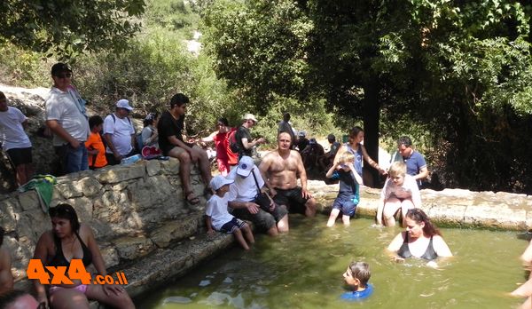 מתרחצים בעין טייסים