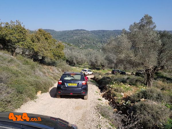 סובארו דרייב בכרמל, ינואר 2018
