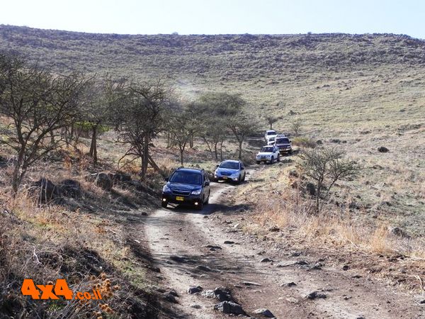 כוכב הירדן , נחל תבור, רמת סירין ומורדות הירדן  - דצמבר 2017