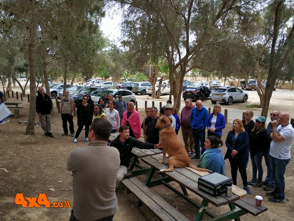 תמונות מהקבוצה של עופר