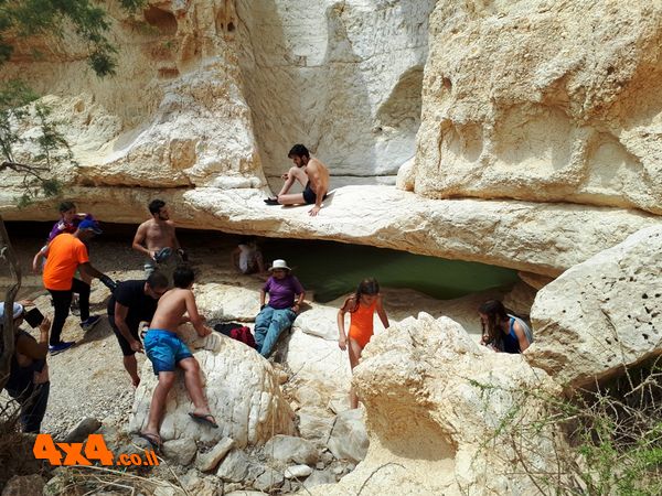 גב זרחן עליון