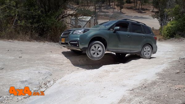 סובארו פורסטר מתרגלת מעבר בהצלבה
