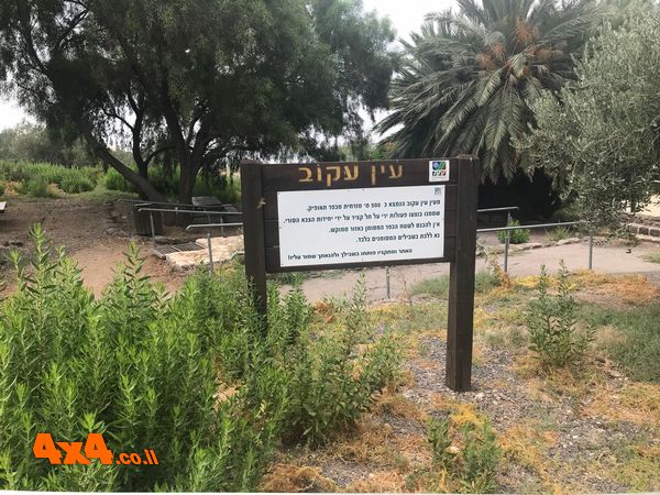 עין עקוב