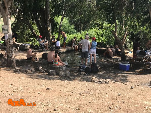 עין אורחה - ג'וחאדר