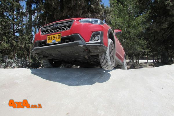 הקבוצה של עופר