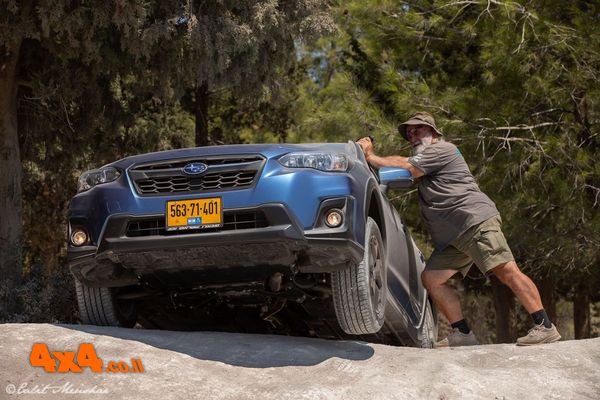 ועוד כמה תמונות שצילמה גלית מואשר