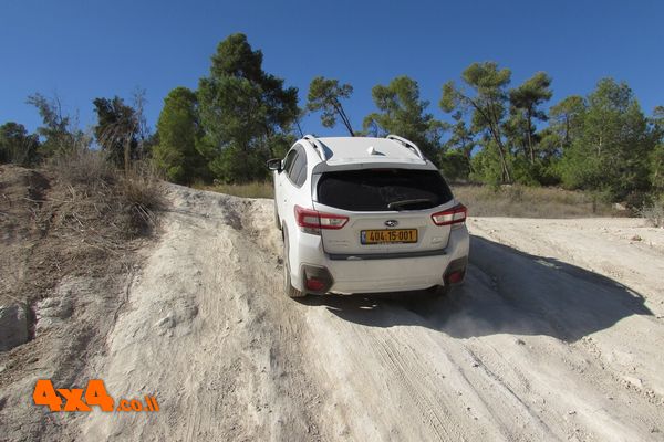 תמונות מהקבוצה של עופר