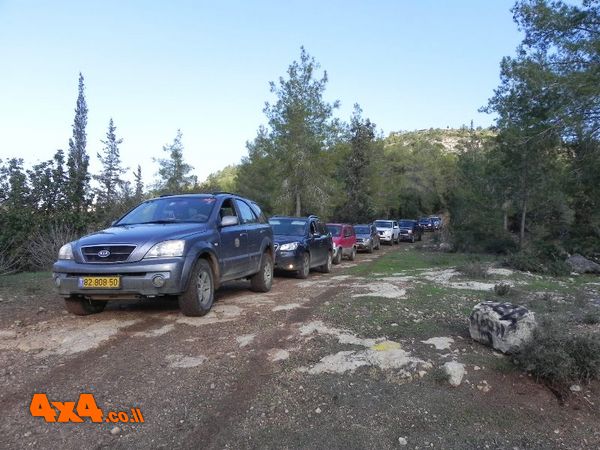 בשבילי יער הקדושים