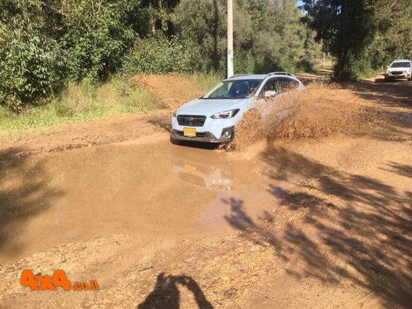 הדרכת נהיגת שטח ביער בן שמן - לקוחות סובארו 25/1/19 