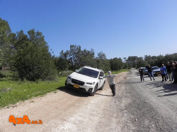 תמונות מהקבוצה של יחיאל 