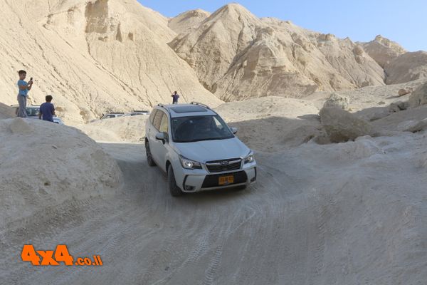 טיול מירוחם למדבר יהודה - 26/1/19