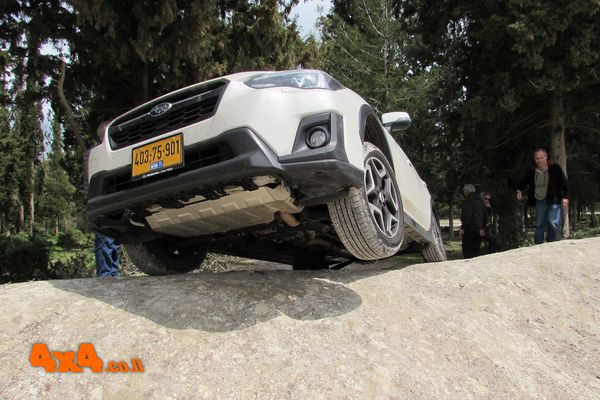 תמונות מהקבוצה של עופר