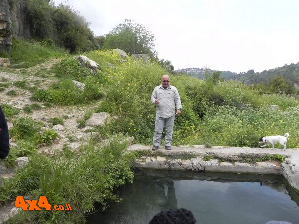 הגענו לעין לימון קצת הסברים על המקום ומבט פנימה אל המעיין