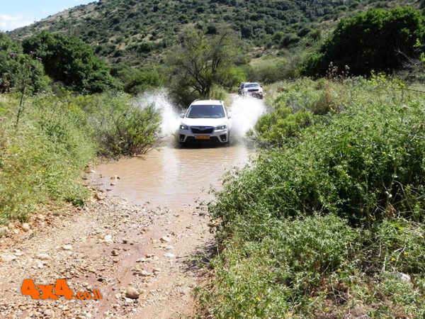 יום העצמאות בגולן - מבריכת האירוסים לנחל דישון - 9/5/19