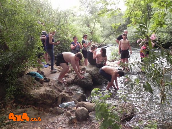 הגענו לנחל חרמון, המים קפואים והזרימה חזקה. אך אחד לא העיז להיכנס למים