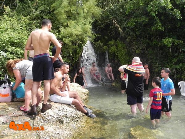 שבועות - טיול יומיים עוקף גולן 8-9/6/19