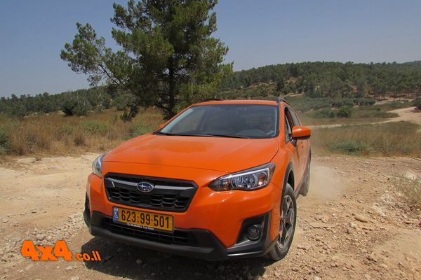 תמונות מהקבוצה של עופר
