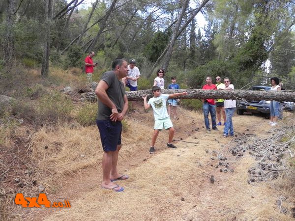 אופס... הפתעה, על שקרס על השביל, החברה באים להציע פתרונות
