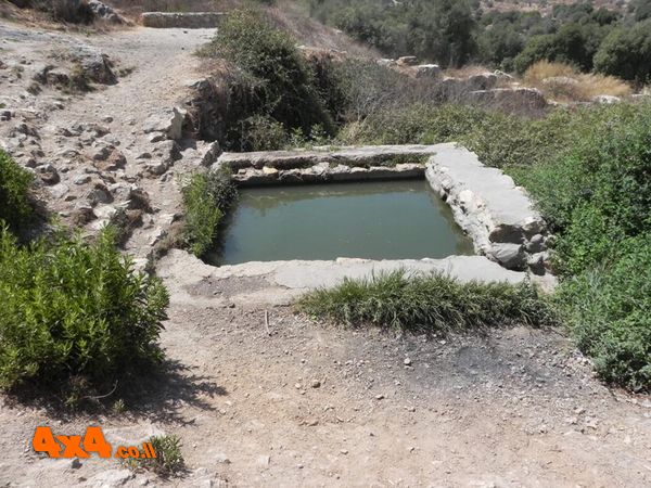 עין לימון
