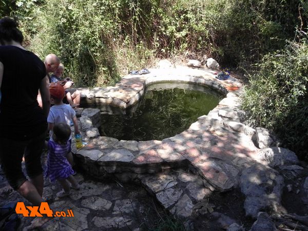 הבריכה בעין כסלון