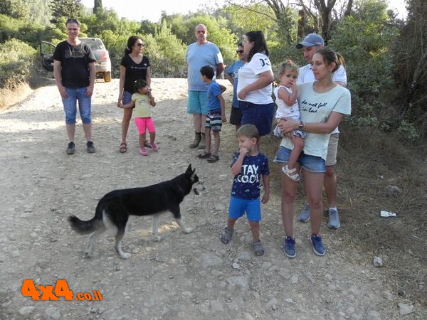 שיחת סיכום