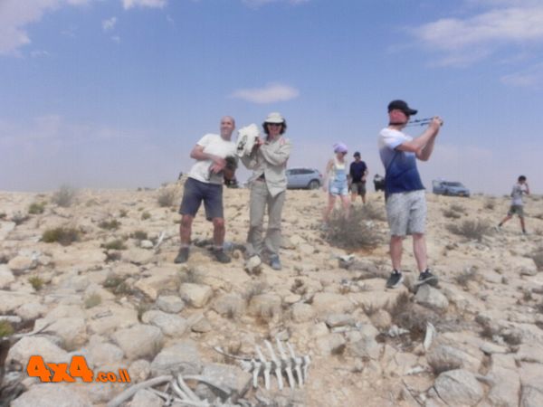 הגענו אל תחנת האכלת נשרים