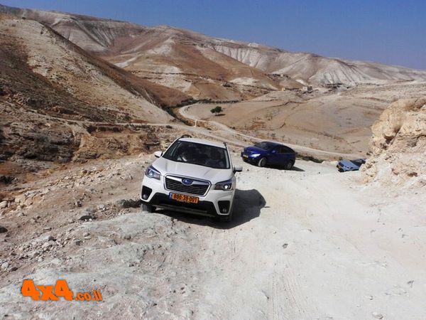 עולים את מעלה נחל קדרון