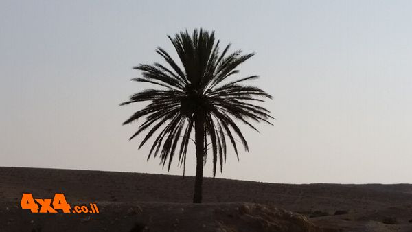 היה לי כייף אתכם, תודה רבה לכלכם. יחיאל דניאל