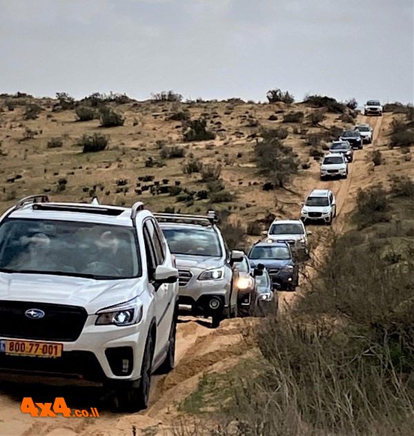 כל השיירה בתמונה אחת