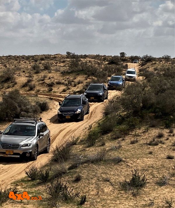 נוסעים ונוסעים בדיונות