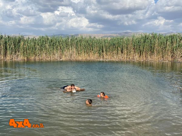 עין סוכות