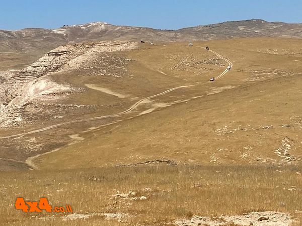 ציר סכיני שמוט