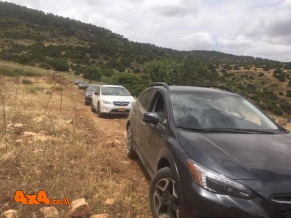 1591522197596