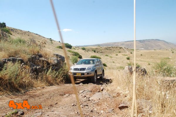 1591787201374