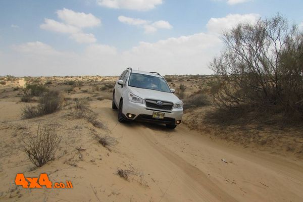 טיול בשבת הקרובה, הדרכות נהיגה ומוצרים בחנות אתר השטח