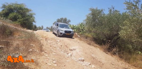 1597910842053