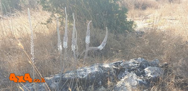 1598876993687