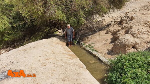 הליכה באמת המים