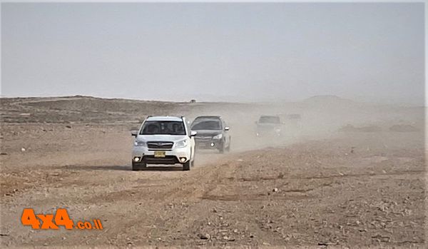 ברחבי נחל ניצנה