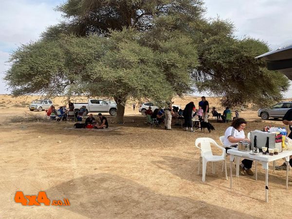 ארוחת צהרים בצל עץ השיטה שלמרגלות רחובות בנגה