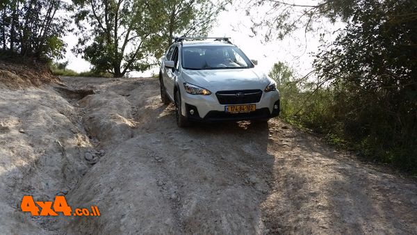 סיום ההדרכה