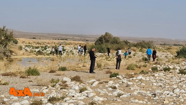 שלוליות מהזרימה בנחל צניפים
