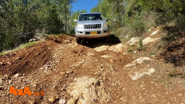 ירידה בדרך טרשית אל נחל כסלון