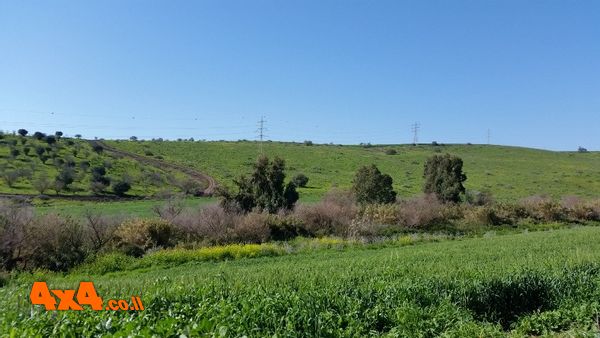 נכנסים לאזור שכולו ירוק ורטוב