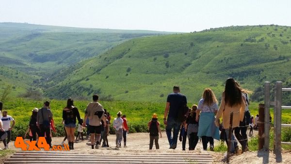 מאות מטיילים ביקרו את נחל תבור. היה צפוף