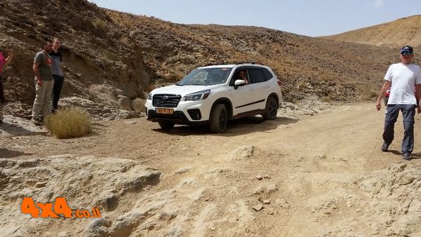 עוברים את המדרגה בירידה מהר גוונים