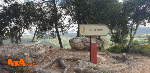 תצפית על כביש 1 ממשלט 16