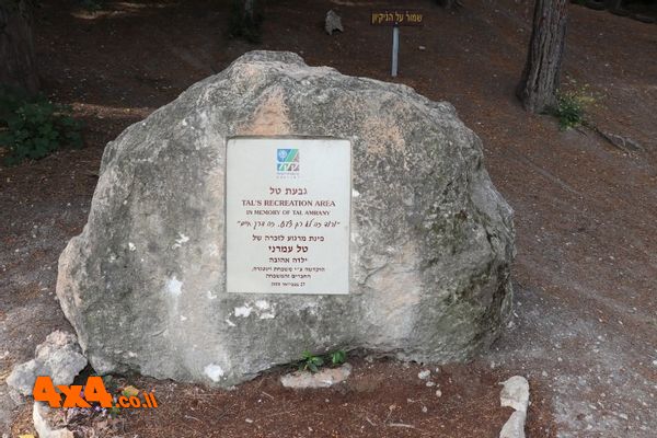 1619428165195
