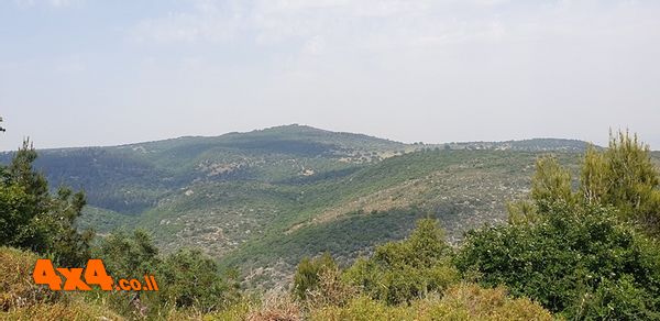 1619891511564