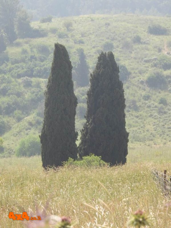 1620036443192